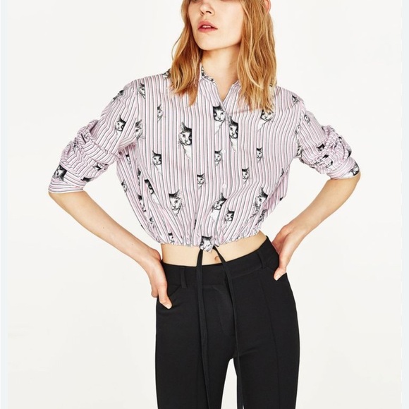 Zara White and Gray Crop Tie Front Blouse - Picture 1 of 6